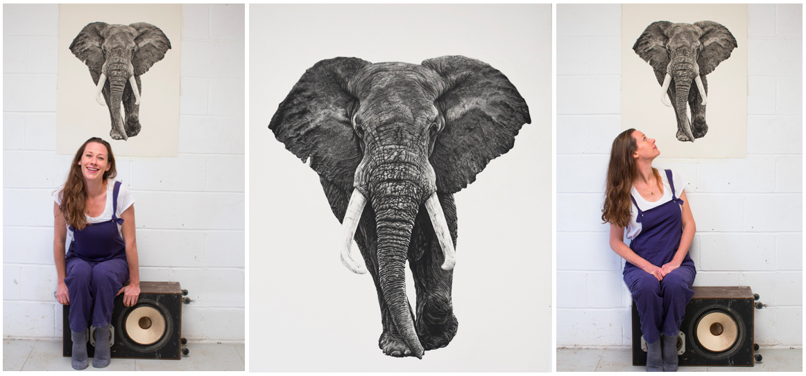 African Elephant Print - Violet Astor